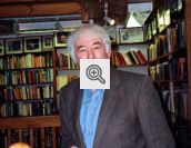 Seamus Heaney 