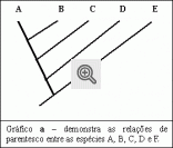 Ilustração