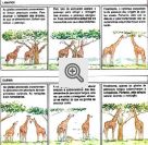 Ilustração