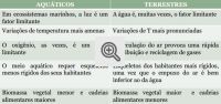 Diferenças entre os ecossistemas