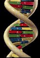 estrutura de um DNA