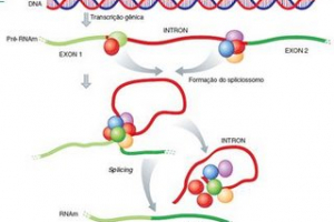 O que é splicing?