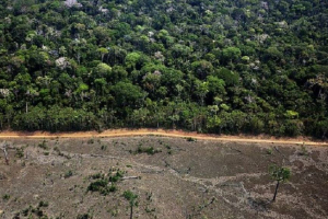 Governo extingue reserva e autoriza exploração mineral na Amazônia