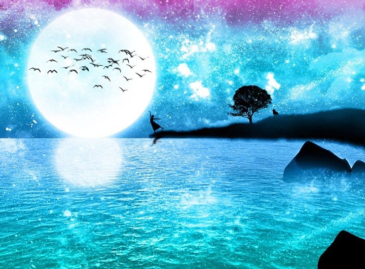 cover photo