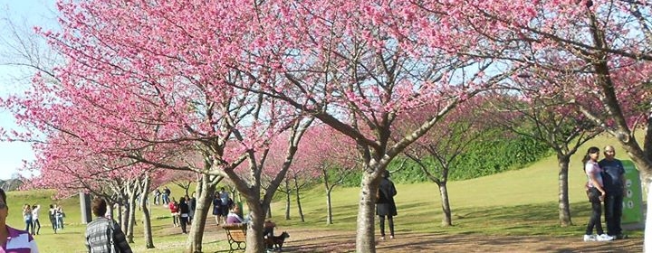 cover photo