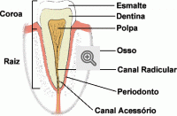 Ilustração