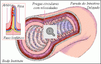 Ilustração