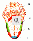 Ilustração