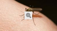 b_200_133_16777215_01_images_stories_noticias_ciencia-e-saude_dengue-zika.jpg