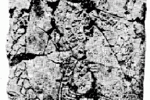 Cartografia