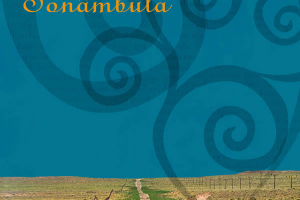 Terra Sonâmbula