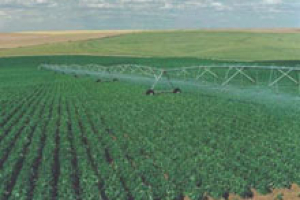 Engenharia Agrícola