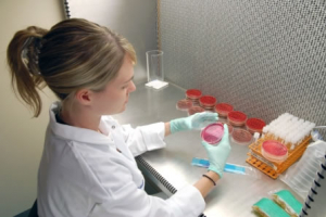 Microbiologia e Imunologia