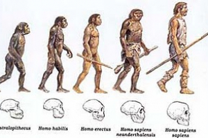 Antropologia