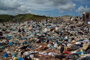 Cidades brasileiras gastam 5 vezes menos em gestão de resíduos que estrangeiras 