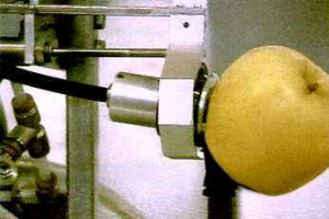 Engenharia de Alimentos