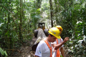 Engenharia Florestal